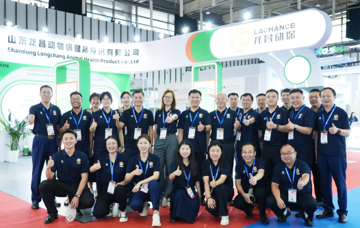 VIV 2024 Nanjing Successful Conclusion